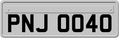 PNJ0040