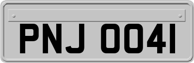 PNJ0041