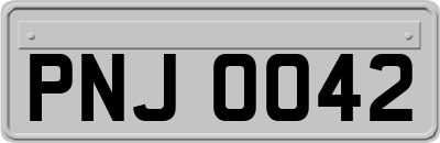 PNJ0042