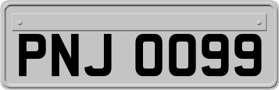PNJ0099
