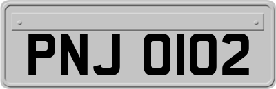 PNJ0102