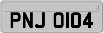 PNJ0104