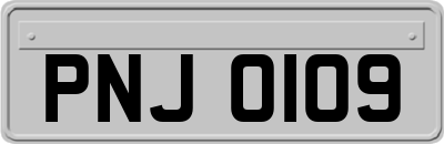 PNJ0109