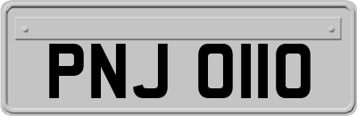 PNJ0110