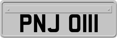 PNJ0111