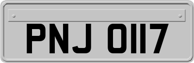 PNJ0117