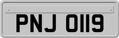PNJ0119