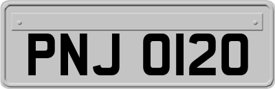 PNJ0120