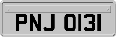 PNJ0131
