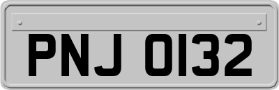 PNJ0132