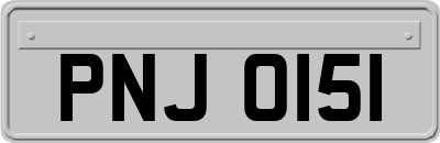 PNJ0151
