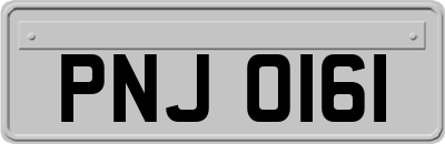 PNJ0161