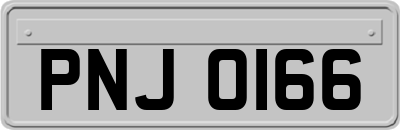 PNJ0166