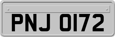 PNJ0172