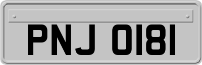PNJ0181