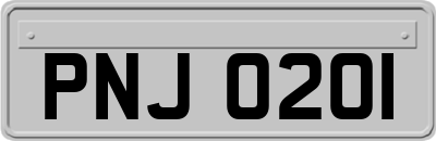 PNJ0201