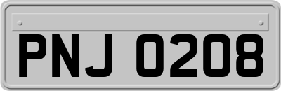 PNJ0208