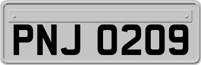PNJ0209