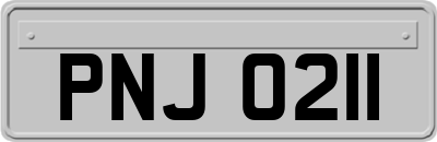 PNJ0211