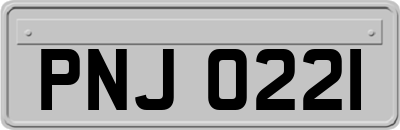 PNJ0221