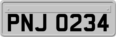 PNJ0234