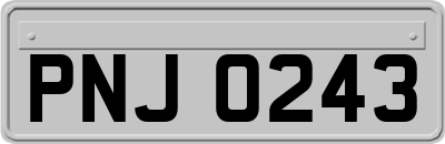 PNJ0243