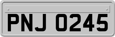 PNJ0245