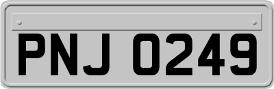 PNJ0249