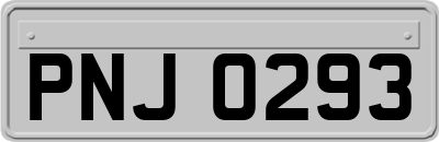 PNJ0293