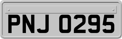 PNJ0295