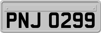 PNJ0299