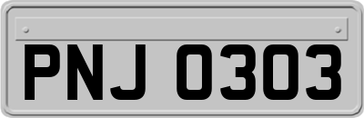 PNJ0303
