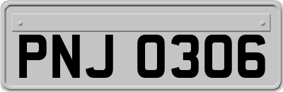 PNJ0306
