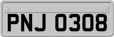 PNJ0308
