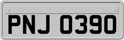 PNJ0390
