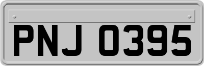 PNJ0395