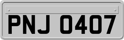 PNJ0407