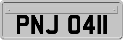 PNJ0411