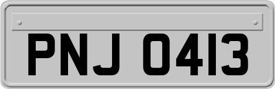 PNJ0413