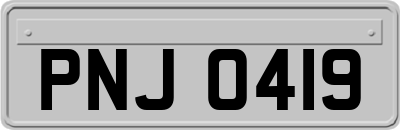 PNJ0419