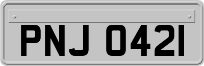 PNJ0421