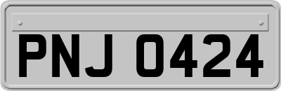 PNJ0424