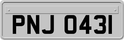 PNJ0431