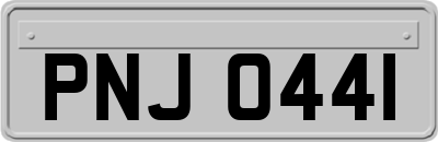 PNJ0441