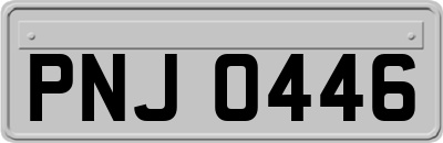 PNJ0446