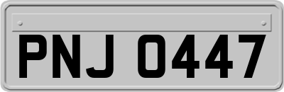 PNJ0447