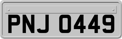 PNJ0449