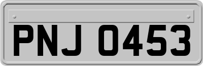 PNJ0453