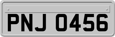 PNJ0456