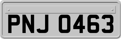 PNJ0463
